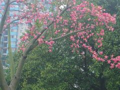 -晓港公园