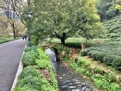 -杭州西湖风景名胜区-三生石