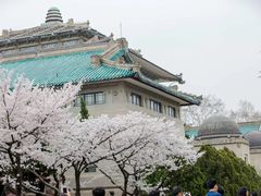 -武汉大学-樱园