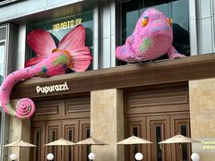 -帕帕拉兹宠物(亚洲旗舰店)