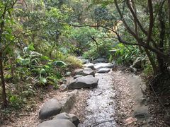 -火炉山森林公园