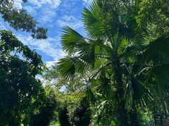 -中国科学院西双版纳热带植物园