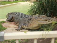 -费瑟代尔野生动物园