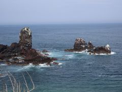 -涉地可支