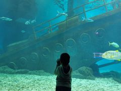 -福州罗源湾海洋世界旅游区