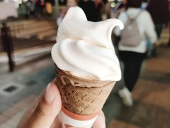 -富豪雪糕车流动点(尖沙咀店)