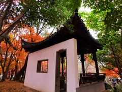 -秋霞圃