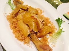姜蓉鸡-上海小南国(国发店)