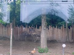 -上海野生动物园
