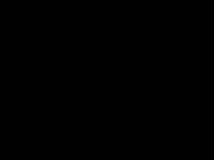 -巢爷老味(东方红店)