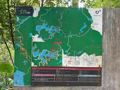 -东莞市大岭山森林公园