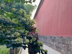 -北京市劳动人民文化宫(太庙)