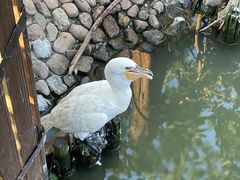 -上海野生动物园