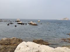 -养马岛旅游度假区