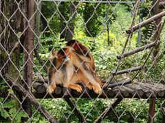 -哈尔滨北方森林动物园