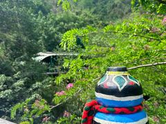 -西双版纳原始森林公园