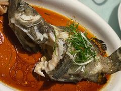 渔夫蒸珍珠斑-79号渔船海鲜饭店(华强北店)