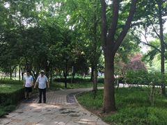 -玲珑塔公园