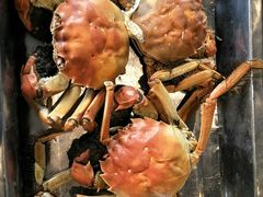 -胶东海鲜大排档(北太平庄店)