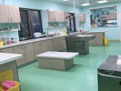 -北京观赏动物医院·24小时大型综合·猫专科·异宠专科