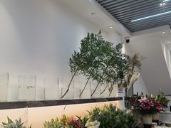-溪岸路花鸟市场