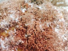 iphone_upload_pic-精点味道(大连商场店)