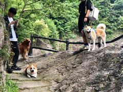 -磐安十八涡风景区