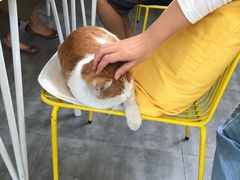 -五进制 Coffee Shop
