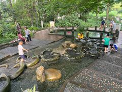 -成都市活水公园