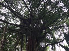 -南宁南湖公园
