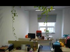 -引领英语·成人口语·雅思托福