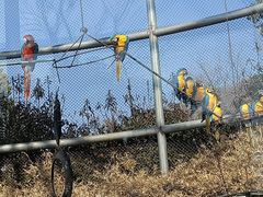 -合肥野生动物园