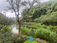 -昆山城市公园