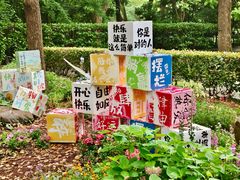 -上海共青森林公园