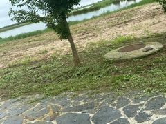 -盐城丹顶鹤湿地生态旅游区