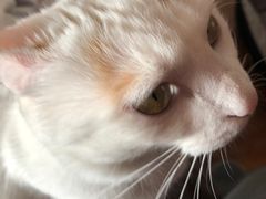 -美联众合24小时·皮肤科·外科·全科诊疗中心(华苑分院)