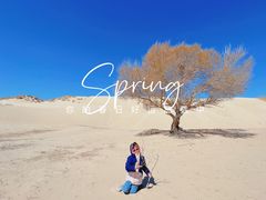 -库伦旗银沙湾旅游景区