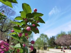 -元大都城垣遗址公园