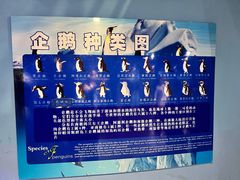 -泉城欧乐堡海洋极地世界