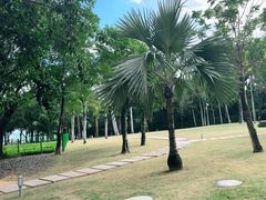 -三亚海棠湾万丽度假酒店