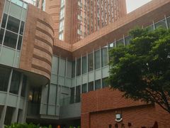 -香港大学