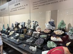 -烟台市博物馆