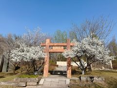 -沈阳植物园