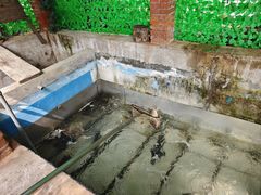 -姥家大锅台水库渔家