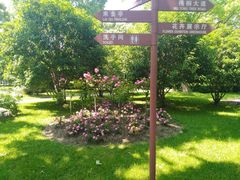 -上海鲜花港