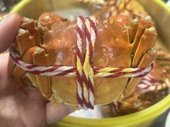 -七的湖·江南蟹舫·阳澄湖农家菜(蟹舫苑店)