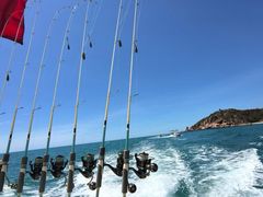 -小猫钓鱼海钓俱乐部(椰梦长廊店)