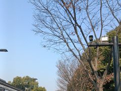 -寻味乌镇·龙虾烧烤