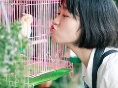 -溪岸路花鸟市场