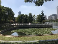 -后襄河公园